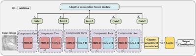 Palmprint recognition based on gating mechanism and adaptive feature fusion